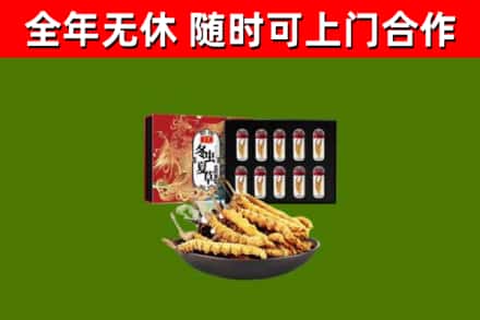 昭通回收冬虫夏草价格